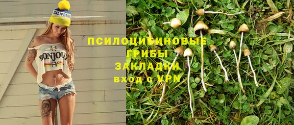 крисы Абаза
