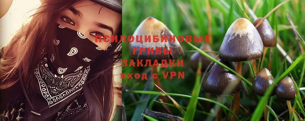 прущий лед Алзамай