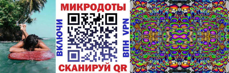 закладка  Дрезна  Псилоцибиновые грибы Magic Shrooms 
